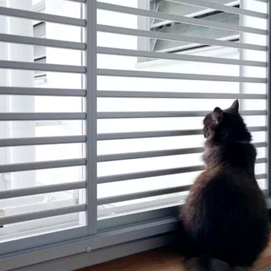 Cat Proof Window Grill Singapore vlr.eng.br