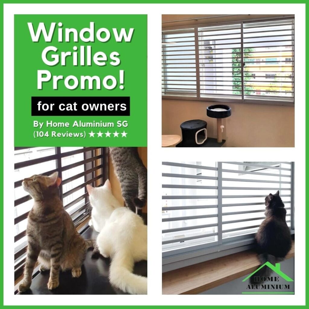Best Cat Grilles Window Grilles Installation Singapore
